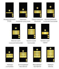 Pin By Megan Harshaw On This Crazy Navy Life Navy Ranks Us Navy Officer Ranks Navy Officer Ranks