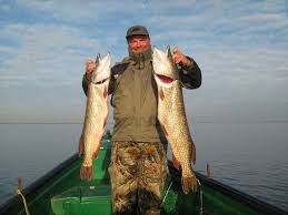 Incursiune Pe Insula K Din Marea Neagră Cel Mai Nou Pămant Al Romaniei Danube Delta The Beautiful Country Romania
