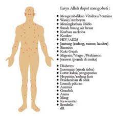 Penjelasan lengkap huruf dalam bahasa arab ilmu nahwu mulai dari pengertian, jenis pembagian hijaiyah mabani dan ma'ani, contoh dalam al yang menjadi kendala seseorang saat akan belajar nahwu shorof dalam bahasa arab, dan mengatakan bahwa nahwu shorof itu sulit, adalah karena. Allahu Akbar Tanda Tanda Kebesaran Allah Pada Tubuh Manusia Voa Islam Com