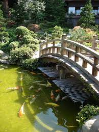 Koi Pond Pictures Koi Pond Bridge Make A Koi Pond Japanese Garden Backyard Japanese Garden Design Japanese Garden