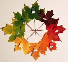 Preschool Co Op Week 5 Avec Images Couleur Pantone Roue Des Couleurs Pantone