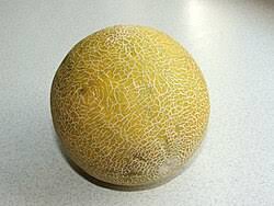 Image result for Cucumis melo