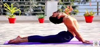 We did not find results for: 1 Yoga Teacher Training India Traditional Yttc Yogasayf
