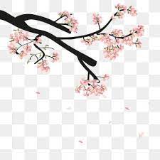 Watercolor Sakura Frame Background With Blossom Cherry Tree Branches Sakura Blossom Hand Drawn Png And Vector With Transparent Background For Free Download Frame Background Tree Branches Cherry Blossom