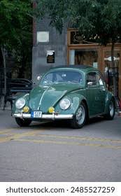 Image result for Pastel Green 1950 Beetle