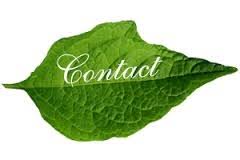 RÃ©sultat de recherche d'images pour "LES PLUS GRANDS ET PUISSANTS MAITRES MARABOUTS DU MONDE"