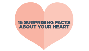 You can use this swimming information to make your own swimming trivia questions. 16 Surprising Facts About Your Heart Infographic