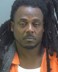 Southwest Florida Online News: November 2021