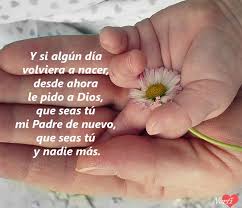 Para Mi Papa Frases De Amor Respeto Y Carino
