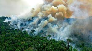 Burning is only permitted on agricultural and rural. Amazon Fires Are They Worse This Year Than Before Bbc News