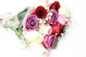 They will not be notified. About Sarnia Flower Boutique Reviews Hours Delivery In Sarnia On