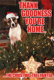 Tree Fainted Dog Box Of 12 Funny Christmas Cards By Nobleworks Response must be less that 100,000 characters. nobleworks