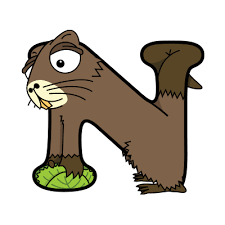 Animals That Start With N Alphabetimals Animal Dictionary In 2020 Animal Dictionary Animal Letters Animals