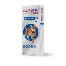 But, since i provide veterinary for pets of the homeless, i use bravecto for them because it's good for 3 months and this is a big consideration done i only provide services every other month and i apply it to the pets when i see them. Bravecto Plus Spot On Solution For Cats