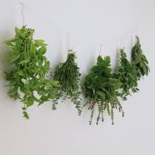 How To Create A Witchy Garden Cultivate Plant Magick And Nurture Sacred Space Witchy Garden Witch Garden Witch Herbs