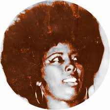 hifashionlovesthis' collection