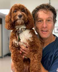 At our virginia beach, va location, dr. Brad Nadelstein Dvm Dacvo Animal Eye Care Associates