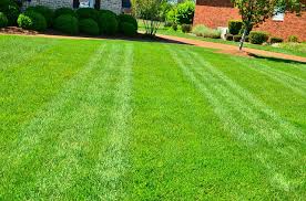 Find out what additional costs come with owning a house, such as property taxes. Lawn Care Pricing Chart What Should You Pay For Lawn Care