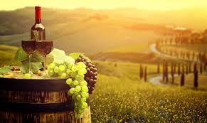 نتیجه جستجوی لغت [wines] در گوگل