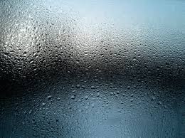 Should you get a dehumidifier for basement? How To Manage Humidity In A Basement Without A Dehumidifier