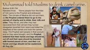An iranian man claiming to be a specialist in islamic medicine called on iranians to drink camel urine because it is the best cure for coronavirus infections. Facebook