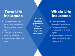 Term life insurance provides you with coverage for a set period. Term Life Vs Whole Life Insurance How To Decide Hunt Insurance