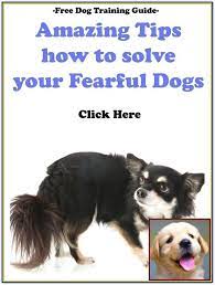 effective and easy ways to train your bad dog behavior dog training tips and tricks dog training training your dog dog behavior