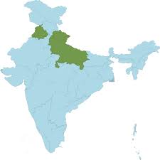 Image result for Schoenoplectiella roylei