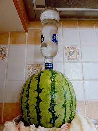 Wodka Melone Von Feinschmeckerbauchlein Chefkoch Rezept Wodka Melone Wodka Melone