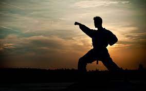 Martial Arts Wallpaper Hd Desktop Wallpapers 1440 900 Hd Martial Arts Wallpapers 43 Wallpapers Adorable Wallpapers Karate Kumite Martial Arts Karate