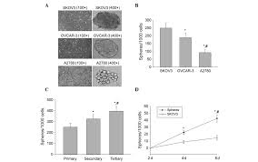 A synthetic form of progesterone that is similar to the hormone made naturally by the body. Foxo3a Mediated Suppression Of The Self Renewal Capacity Of Sphere Forming Cells Derived From The Ovarian Cancer Skov3 Cell Line By 7 Difluoromethoxyl 5 4 Di N Octyl Genistein