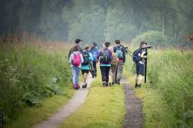 Prior to joining the team in 2008 as an investment analyst, he was a senior equity analyst at morningstar and a vice president at lentell group. The Bto Regional Network Bto British Trust For Ornithology