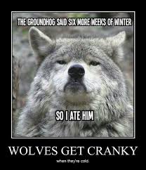 Memebase Wolves All Your Memes In Our Base Funny Memes Cheezburger