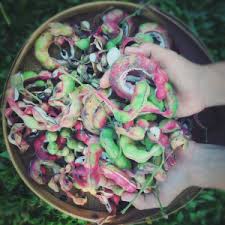 Image result for Pithecellobium dulce