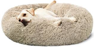 All you need to do is to buy one that is bigger than a bed you'd get for a small dog. Quality First Consumers First Hachikitty Dog Beds Calming Donut Cuddler Puppy Dog Beds Large Dogs Indoor Dog Calming Beds Large 30 Kitchen Dining Quality Guaranteed 51 79 51 52