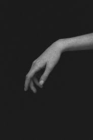 Aesthetic black and white hand drawing. Schlanke Hand Human Reference Anatomy Reference Hand Reference