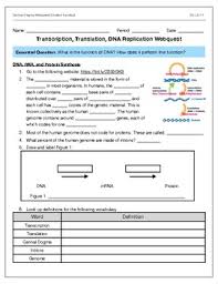 ﻿dna the double helix worksheet answer key biology corner. Dna Webquest Answers Key