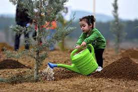 Planting the right trees in your own yard or near where you live is one of the best things you can do to help habitat for native wildlife. Do Something For Humanity Plant A Tree In Your Lifetime Opinion
