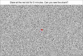 Image result for illusion pictures