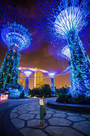 A Singapore Icon Gardens By The Bay Pics Tickets Hours Tips Gardens By The Bay Singapore Travel Singapore Garden