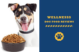 The foods one chooses should be certified by the aafco (association of american feed control officials) to make sure they are nutritionally balanced and. Wellness Dog Food Reviews In 2021 Totally Goldens