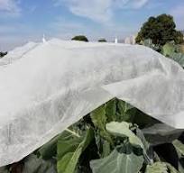 Haorui Factory's Lightweight Spunbond PP Non Woven Fabric Waterproof Frost  Protection for Agriculture Plain & Cross Style