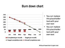 Project Management Charts