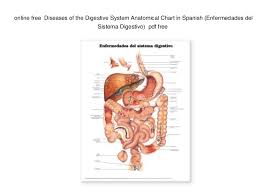 Online Free Diseases Of The Digestive System Anatomical