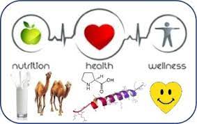 Camel milk can help with recovery from diarrhea caused by viral infections. Nutritional And Therapeutic Perspectives Of Camel Milk And Its Protein Hydrolysates A Review On Versatile Biofunctional Properties Sciencedirect