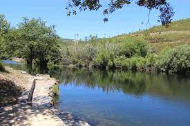 Check spelling or type a new query. Proenca A Nova Photos Featured Images Of Proenca A Nova Castelo Branco District Tripadvisor