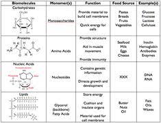 Macromolecules Chart Worksheet Answers Macromolecules Chart Worksheet Four Macromolecules Chart Macromo Macromolecules Macromolecules Biology Biology Classroom
