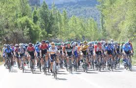 We did not find results for: La Diputacion Desvela Una Vuelta A Burgos Con Varias Novedades Radio Castilla Actualidad Cadena Ser