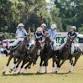 Polocrosse Australia Nationals event image