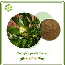 Image result for Fadogia